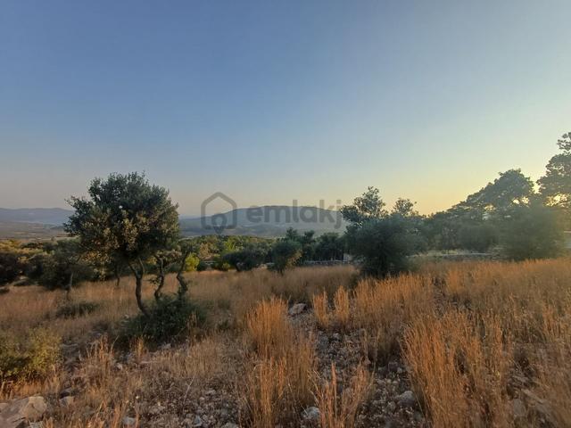 Kazıkli Mahallesi'nde Deniz Manzarali 5