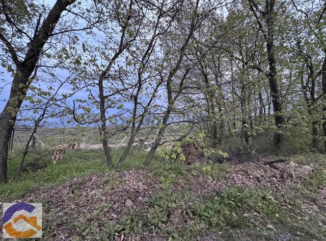 Yalova Altınova Aktoprak'ta 4428m² Tarla: Yola Ve Dereye Cepheli 4