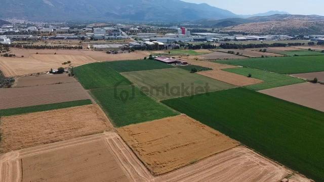 A Plus Gayrimenkulden 16.720 M2 Tire Osb Yakını Verimli Tarla​ 4