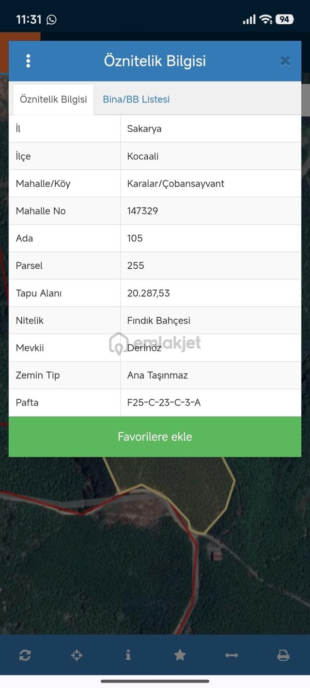 Kocaali Karalar Cobansayvantta Fındıklık 2