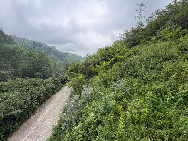 Uğurlu Da Satılık 2,5 Kat İmarlı Arsa 4