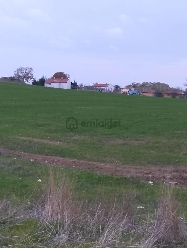 Kırklareli Merkez Demircihalil 16 Dönüm Satılık Projelik Arazi 4