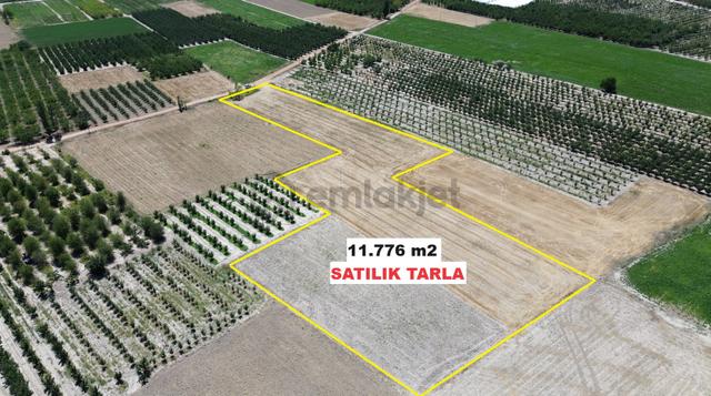 Vıp Gayrimenkul' Den Bayralarda 11.776 M2 Muhteşem Arazi 5