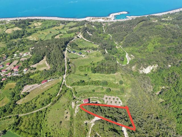 Bafra Vıp Gym.den Gerze Yenikent Köyünde 2.674m2 Satılık Tarla 4