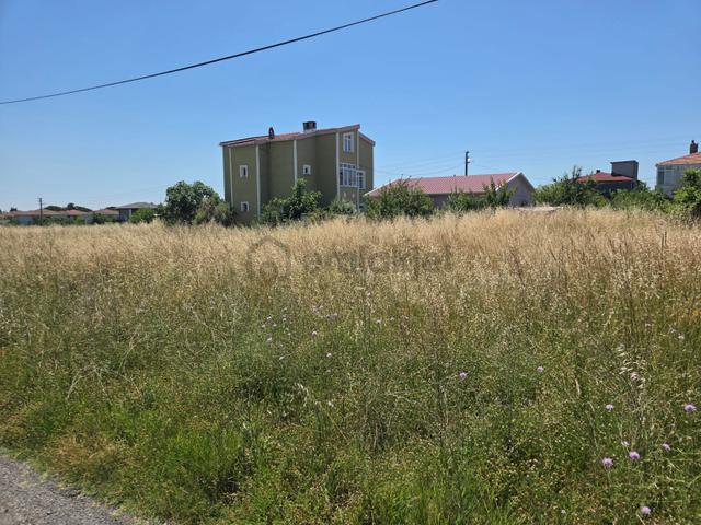 Haydar Emlaktan Yenicede 315 M2 Yatırımlık,müstakil İfrazlı Arsa 3