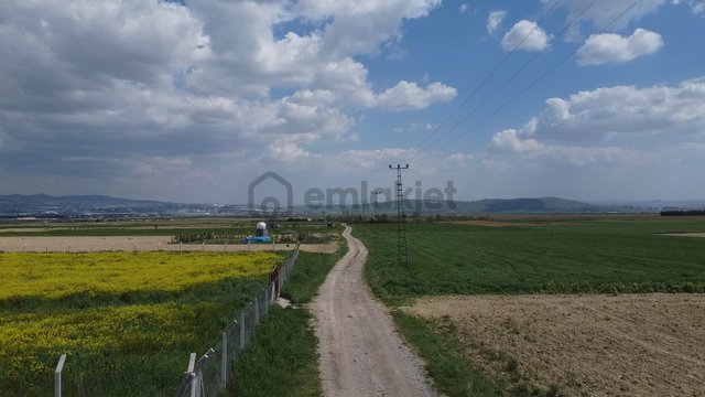 Alkan'dan Tek Tapu, Yolu Mevcut Tarla Alkan'dan Tek Tapu, Yolu Mevcut Tarla
