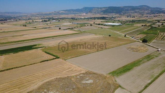 Gerenköyde 28727m2 Satılık Tek Tapu Yola Cephe Suyu Olan Tarla 4