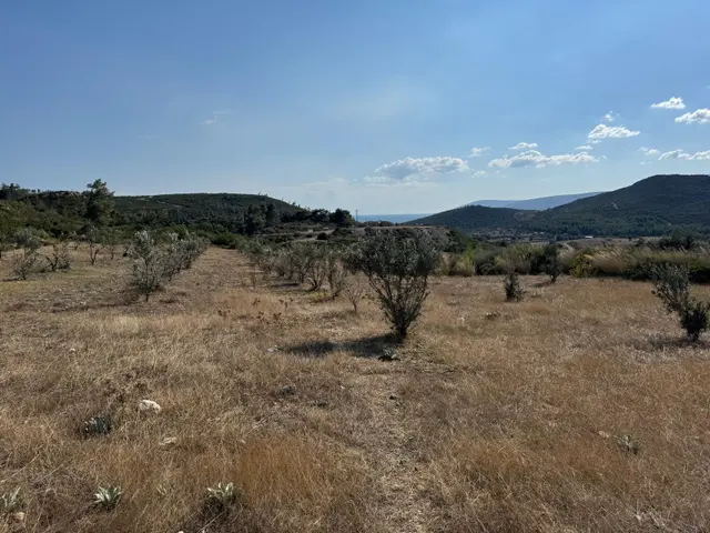 Urla Demircili | 6 Dönüm Tek Tapu | Deniz Manzaralı Arazi 3