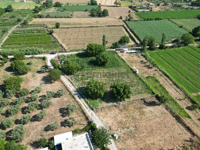 Hb'den Satılık Bahçe, Köşe Konumda Müstakil Tapulu Etrafı Çevrili 5