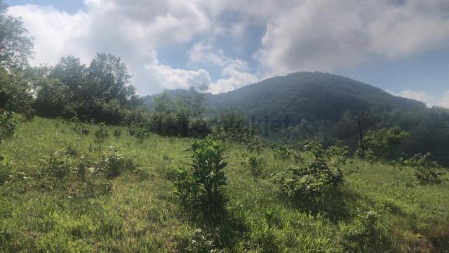 Deniz Ve Doğa Manzaralı | Tıny House İçin Uygun 4.069 M² Bahçe 5
