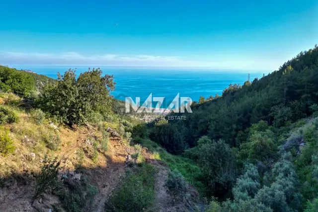 Alanya Hacımehmetli’de Hisseli 941 M² Manzaralı Tarla 3