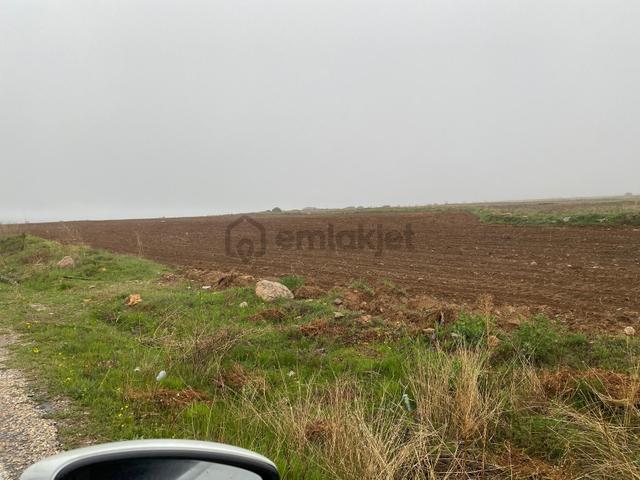 Kadınhanı Şahören'de Yola Cepheli Müstakil Satılık Tarla 2