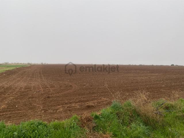 Kadınhanı Şahören'de Yola Cepheli Müstakil Satılık Tarla 4