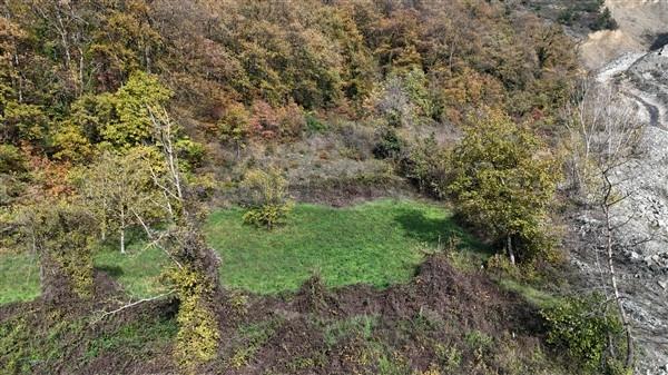 Doğa İçerisinde Bır Taraf Dere Bir Taraf Orman Satılık Bahçe 2