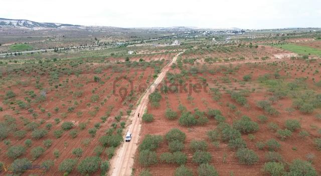 Zeytinlide 92 Metre Yol Cepheli Müstakil Tapulu Satılık Tarla 5