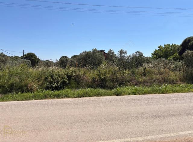 Erdek Zeytinli Kastri Mevkinde 602 M² Villa İmarlı Köşe Parsel 5