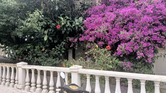 Çeşme Ilıca Merkeze Ve Ilıca Plajına Yürüme Mesafesinde Yıllık/sezonluk Kiralık Daire 4