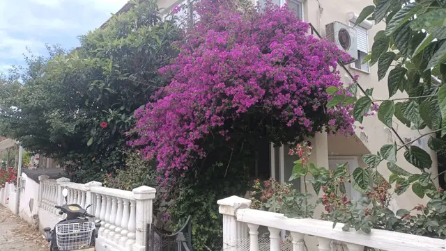 Çeşme Ilıca Merkeze Ve Ilıca Plajına Yürüme Mesafesinde Yıllık/sezonluk Kiralık Daire 3