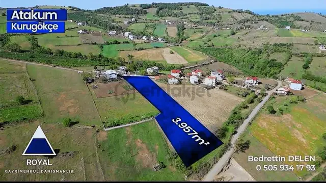 4000 M2 Yerleşik Alan İçerisinde Muhteşem Tarla 3