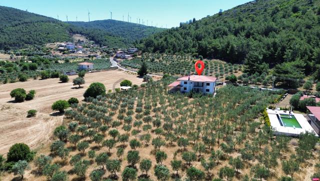 Urla Nohutalan'da 10.478 M² Zeytinlik Ve Mevcut Yapı 3