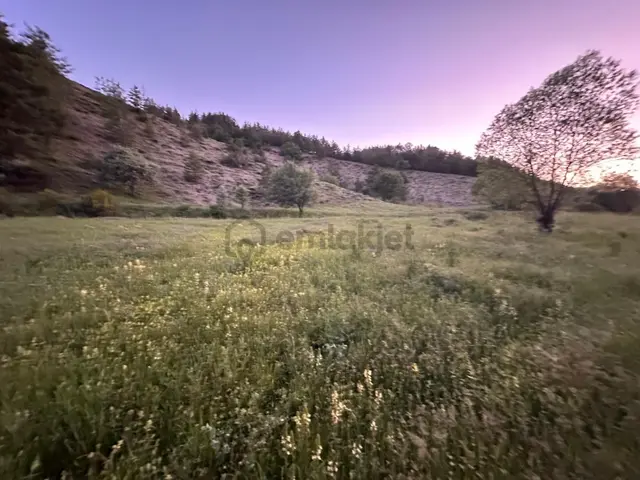 Giresun Alucra Çamlıyayla'da Satılık Tarla 4