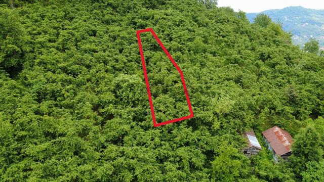 Giresun Yağlıdere Kızılelma'da Satılık Fındık Bahçesi 2