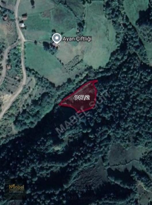 Mabelden Geleceğe Yatırımlık Müstakil Tarla