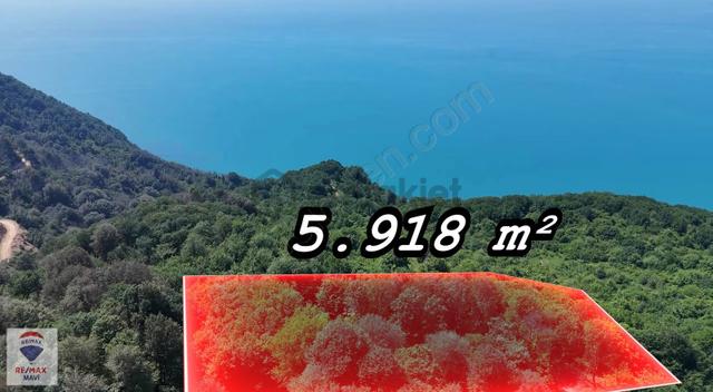 Armutçuk Da Deniz Manzaralı 5.918 M² Satılık Arazi 4