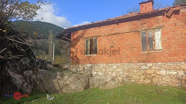 Bergama Topalar Mah. Tek Katlı Evi Olan Zeytinlik 1