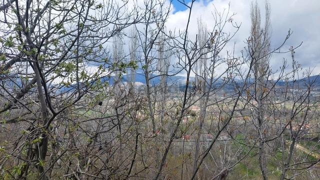 Kastamonu - Tosya Gökyer Mevkinde Satılık Bakımlı Bağ 5