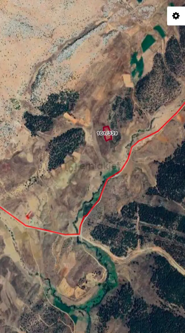 Tufanbeyli Demiroluk Mahallesinde Ormana Sıfır Fırsat Tarla 4