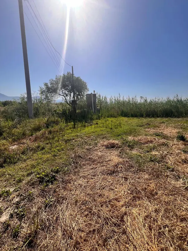 Milas Avşar Mah. Satılık 5.528 M2 Tarla 2