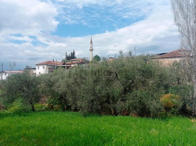 Akhisar Yenidoğan Da Satılık Kupon Arsa 4