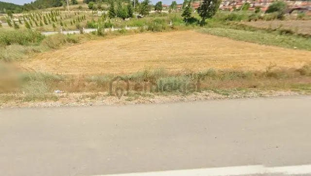 Kütahya Tavşanlı Emirler Yol Dibi Tarla 4