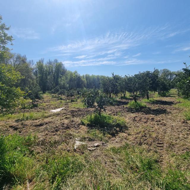 Toparlar'da Acil Satılık 500m2 2b Arazi 5