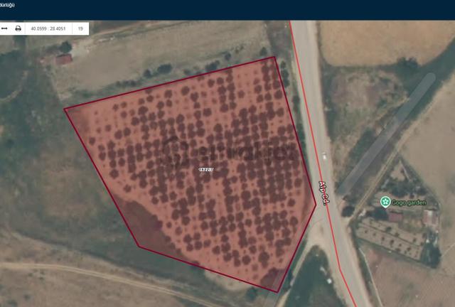 Bursadabul'dan Atariye Mah.ana Asfalt,mevye Bahçesi 10.728m2