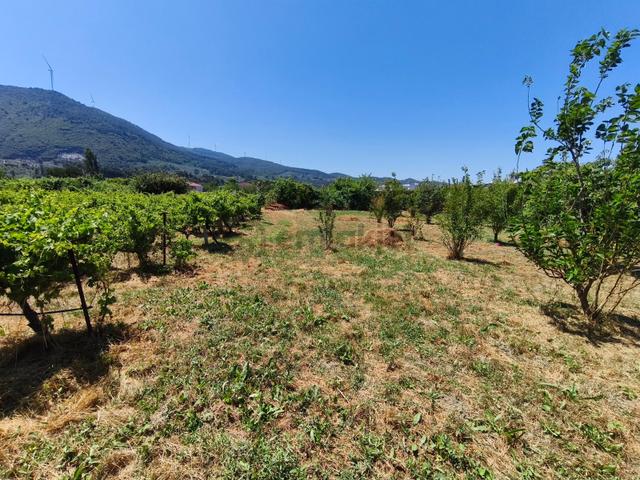 Gökçealanda Köy İçinde Satılık, 724 M2 Bahçe - Arazi... 5