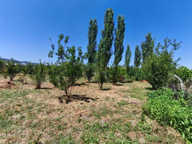 Gökçealanda Köy İçinde Satılık, 724 M2 Bahçe - Arazi... 4