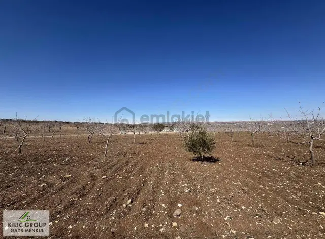 Kılıç Group Gayrimenkul Mehmet Kılıç'dan Satılık 5