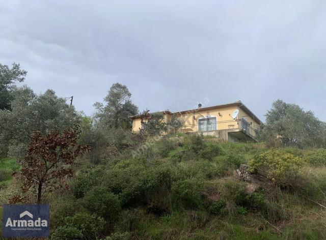 Menderes Yeniköy Merkez Satılık Zeytinli Tarla 250m2 Çiftlikevi 5