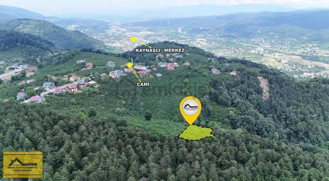 Ruşen Aydın Gyd'dan Kaynaşlı Eskiköy Mah. Satılık Fındık Tarlası 3