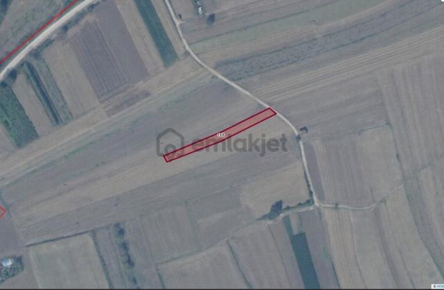 Adapazarı Kavaklıormanda 1.230 M2 Satılık Tarla !!