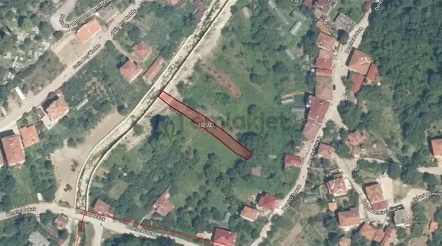 Cide Demirtaş Emlaktan Satılık Tarla Cide Demirtaş Emlaktan Satılık Tarla
