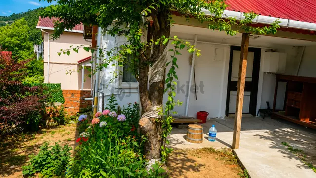 Kiralık Beykoz Tokatkoyunde Müstakil Bahçeli Ev 3