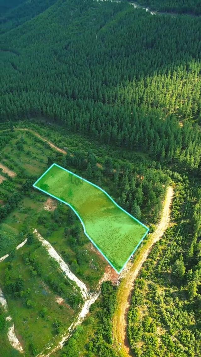 Bucak Beş Konakt'a 6.500 M2 Arsa 4