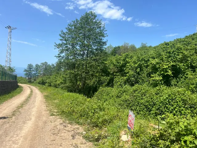 Trabzon Ortahisar Bulak'ta Satılık Arazi 5