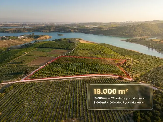Ra Gayrmenkul Akçakocalı 18.000m2 Satılık Bahçe 2