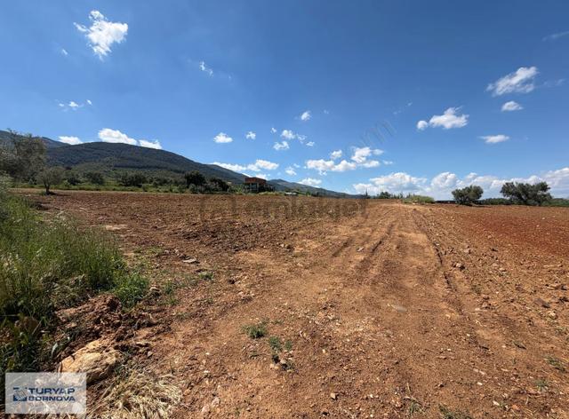 Aydın Karacasu'da Kahvedersi Yolu Üzerinde 22916m2 Satılık Tarla 4