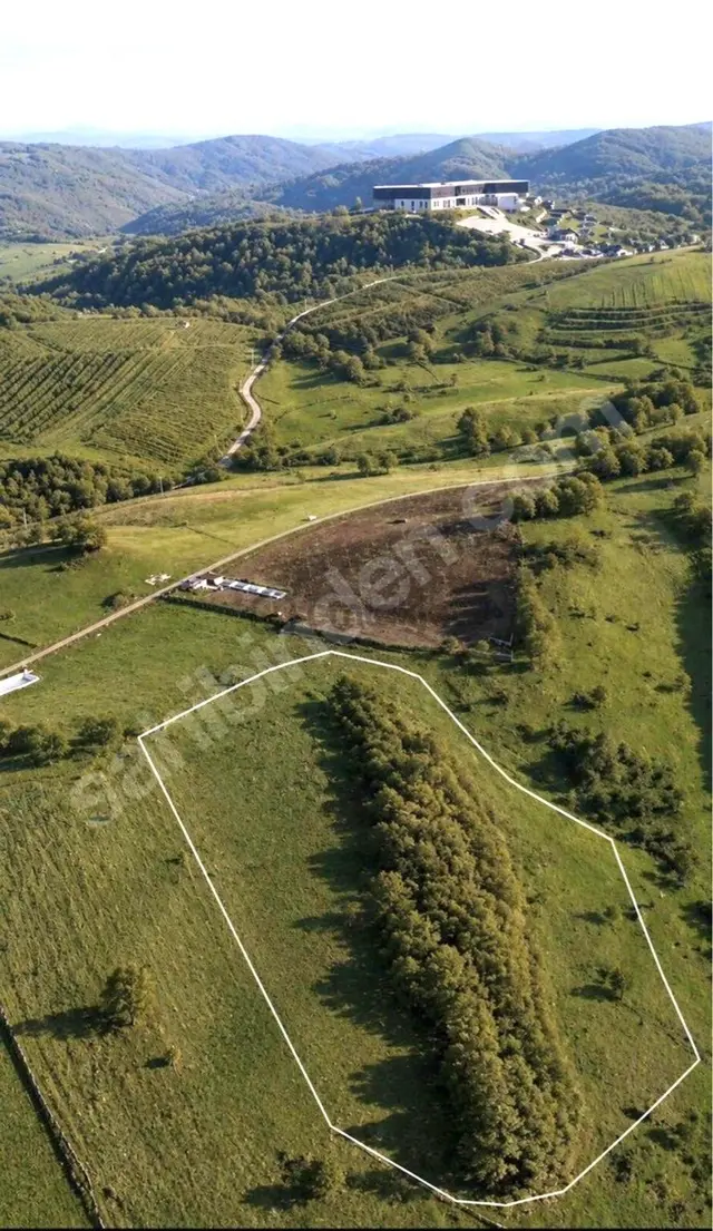 Sahibinden 10.218 M² %5 İmarlı Tek Tapu Yatırımlık Tarla 1