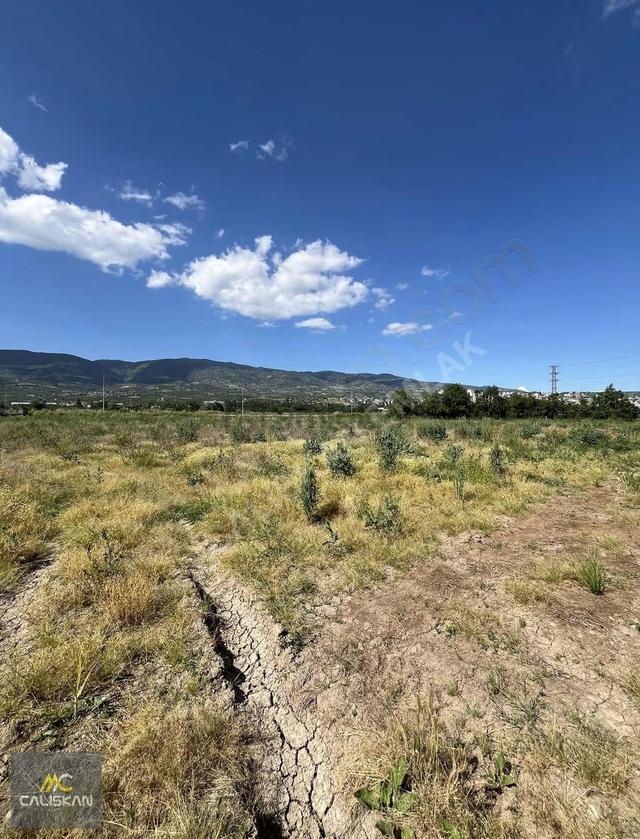 Tokat Sebze Hali Yanı Kiralık 3.000 M² Arsa - 30m Anayol Cepheli 5